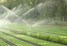 Federal NSWlandscaping-irrigation-11.jpg; ?>