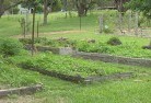 Federal NSWsustainable-landscaping-19.jpg; ?>