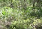 Federal NSWsustainable-landscaping-21.jpg; ?>